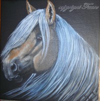 /album/galerie-photos/le-timide-jpg/